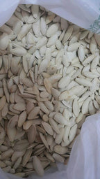 Premium Muskmelon Seeds (Kharbuja Magaj) – Fresh, Crunchy &amp; Protein-Rich Healthy Seeds 250gm