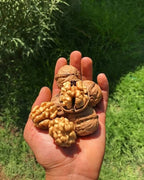 Premium Natural Walnuts (Akhrot) – Fresh, Crunchy & Nutrient-Rich Dry Fruits 1Kg