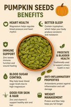 Premium Pumpkin Seeds – Fresh, Crunchy & Protein-Rich Healthy Seeds 500g
